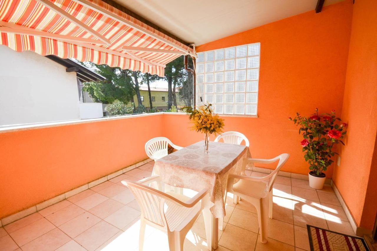 Lili Apartment Novigrad  Luaran gambar