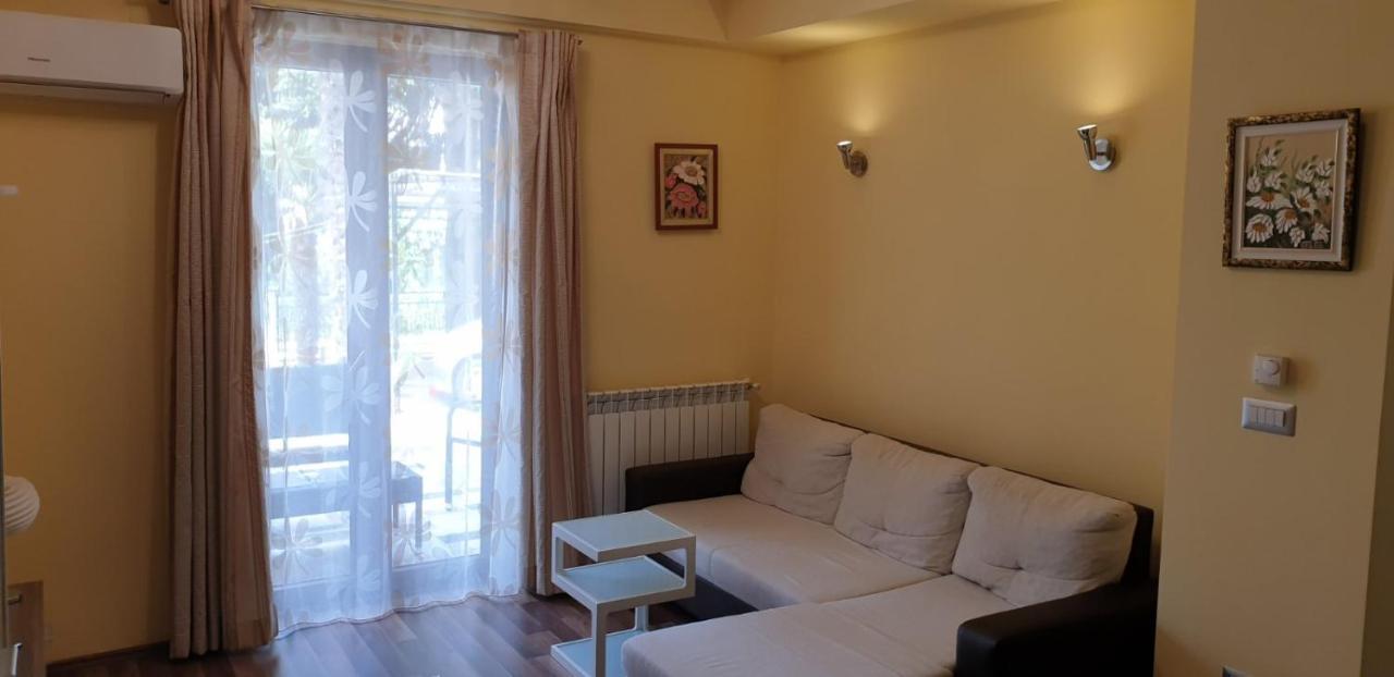Lili Apartment Novigrad  Luaran gambar