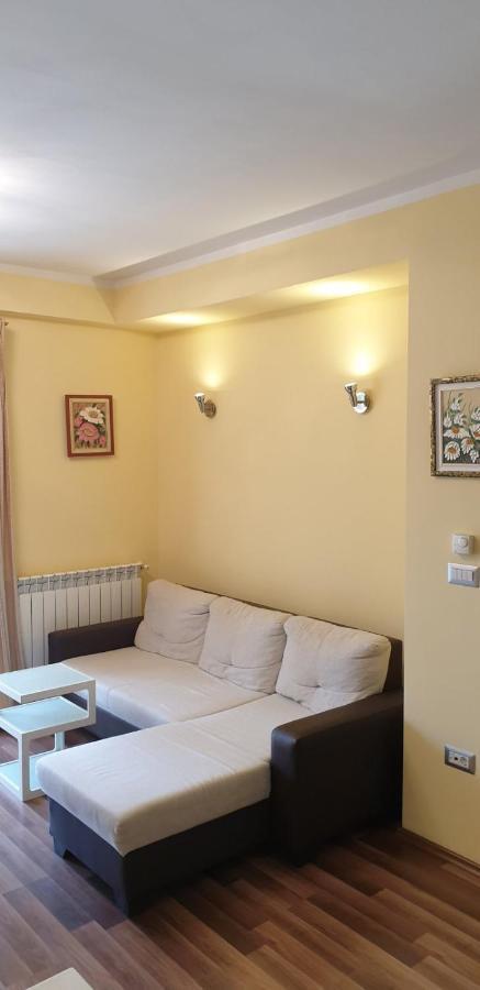 Lili Apartment Novigrad  Luaran gambar