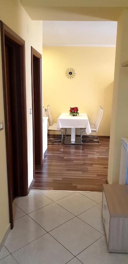Lili Apartment Novigrad  Luaran gambar